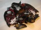 Purchase 1996-2007 Black Red Flame Suzuki GSXR 1300 Hayabusa Motorbike Fairing Canada