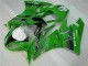 Purchase 2009-2012 Green Black LeoVince Kawasaki ZX6R Motorcycle Fairing Kit Canada